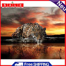 Leopard Oil Paint By Numbers DIY Coloring Picture Kits for Adults Children Craft