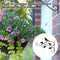 Metal Hanging Flower Plant Pot Basket Wall-Mounted Support Basket Tools (C)