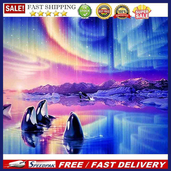 Whale in Aurora Oil Paint By Numbers Kits Canvas Picture Wall Art DIY Craft Gift