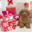 Set of 12 Valentine s Day Treat Boxes Goody Candy Cardboard Box with Window