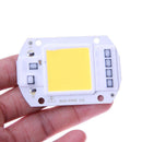 50W LEDs Floodlights COB Chip 220V Input Integrated IC Driver(White) Newly