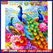 Animal Oil Paint By Numbers Kit DIY Frameless Drawing Picture for Adults Deco