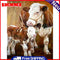 Cow Mother and Child Oil Paint By Numbers DIY Animal Picture for Adults Children