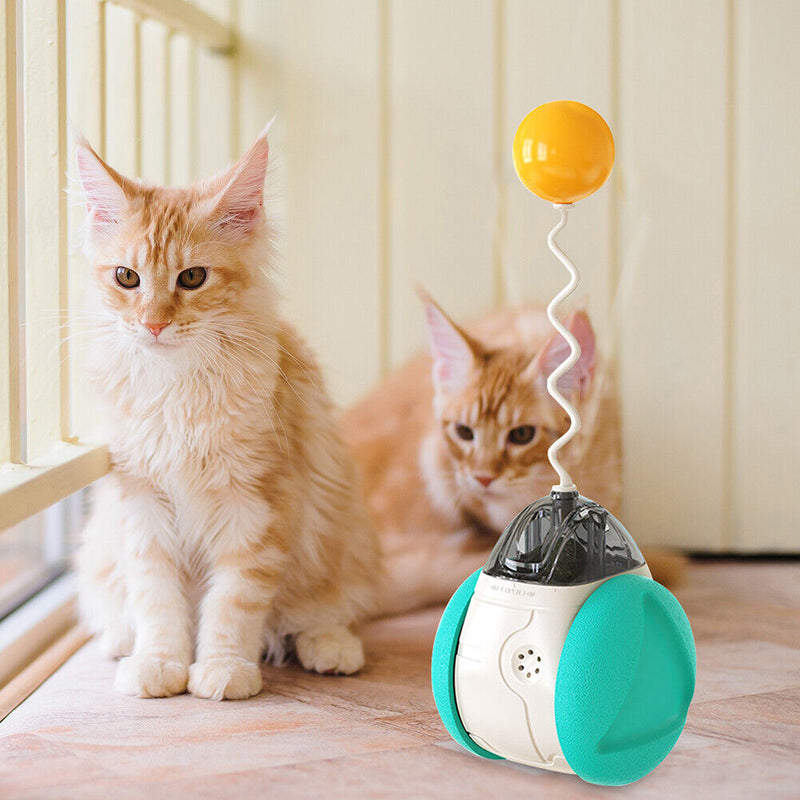 Cat Interactive Toys Swing Balance Body Colorful Sound Catnip Teaser Cat Pr