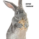 Small Animal Chew Grass Ball Pet Hamster Molar Tooth Clean Balls (Rattan)