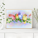 Colorful Parrot Oil Paint By Numbers Kits Canvas Picture Wall Art DIY Craft