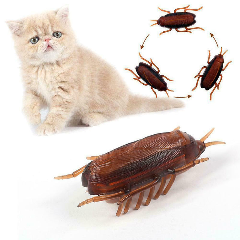 Electronic Cockroach Intelligence Toys Pet Activity 2022 Dog-Cat S1L0