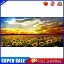 Sunset Sunflower Field Oil Paint By Numbers DIY Handpainted on Canvas Arts