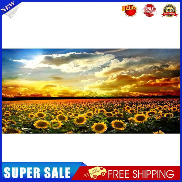 Sunset Sunflower Field Oil Paint By Numbers DIY Handpainted on Canvas Arts
