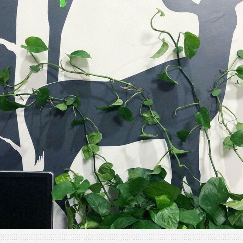 10x Plant Fixture Clip Plant Climbing Wall Self-Adhesive Tied Fasteners best