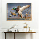 Wild Duck on Lake Oil Paint By Numbers Kit DIY Acrylic Painting on Canvas D