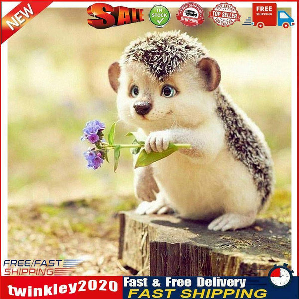 5D DIY Full Drill Diamond Painting Hedgehog Cross Stitch Embroidery Craft Newly