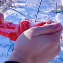 Plastic Snowball Maker Clip Winter Outdoor Snow Ball Heart Shaped Mold Toys