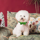 Dog Bow Tie St. Patricks Day Costume Soft Dog Cat Collar with Bow Tie (5) Newly