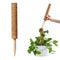 Coconut Palm Stick - Plant Supporting Poles Plant Climbing Vine (30cm)