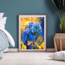 Macaw Oil Painting By Numbers Canvas Art Drawing Kit DIY Home Bedroom Decor