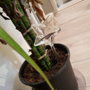 Transparent Bird Travel Flower Waterer Bulb Auto Drip Irrigation Device (B)