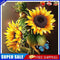 Sunflower 20X20cm Frameless Oil Paint By Numbers DIY Painting Crafts (S562)