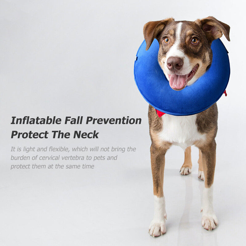 #A Inflatable Cat E-collar Anti-bite Dog Neck Cone Recovery Anti Lick Surgery