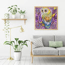 5D DIY Special Shaped Diamond Painting Owl Cross Stitch Mosaic Kit (R113)