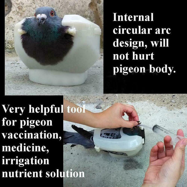 Racing Pigeon Holder For Injection Feeding Vaccination Pet Supplies Bird X7H9