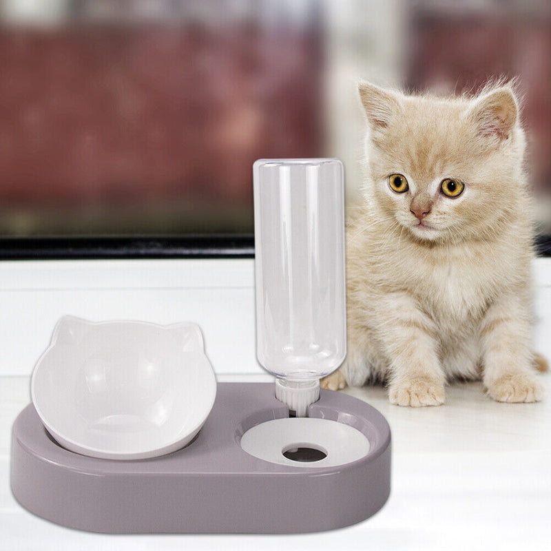 2 in 1 Pet Cat Feeder Bowl Automatic Drinking Water Puppy Bowl (Purple) Newly