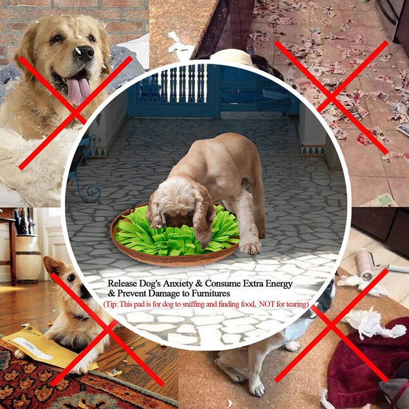 Pet Snuffle Mat, Treat Interactive Slow Eat Bowl Training Foraging Toys for