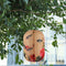 Solar Lantern Chinese Japanese Print Hanging Outdoor Garden Party Light (I)