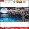DIY Diamond Painting Kits Moon Peach Blossoms Full Round Drill Home Decorat