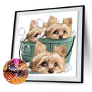 Diamond painting DIY round diamond three puppies B1673
