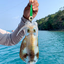 LED Flashing Deep Fishing Squid Underwater Fish Lure Lights Lamp Accessories