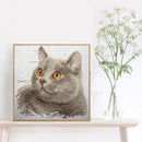 Partial Embroidery Stamped Cat DIY Cross Stitch Kits 11CT Needlework Sets Gift