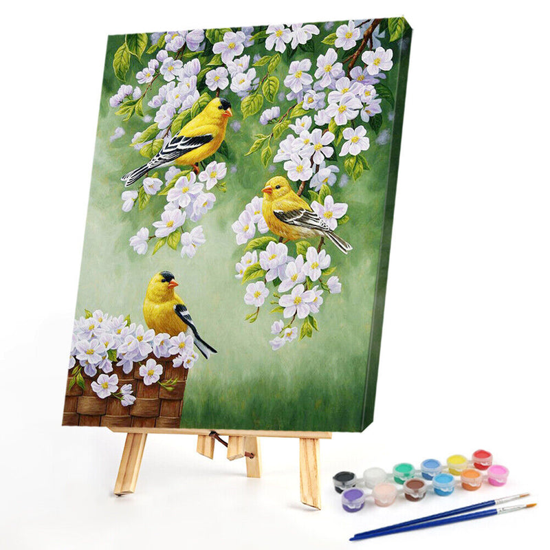 Bird on Branch Oil Paint By Numbers Kit DIY Acrylic Painting on Canvas Framel