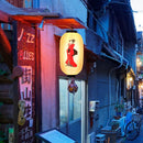 10 inch Customized Chinse Style Character Painted Lantern for Hanging (D) Newly