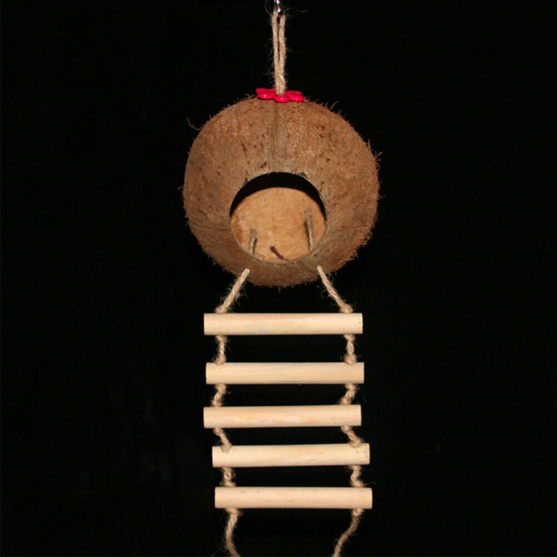 Parrot Coconut Shell Bird Nest Hamster Parakeet House with Hanging Ladder Newly