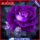 Diamond Embroidery Rose Flowers Round DIY Diamond Painting Cross Stitch