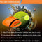 Exercise Ball Self-study Tennis Trainer Training Rebound Practice Tool