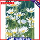 Special Flower 40x50cm Oil Paint By Numbers Picture DIY