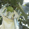 Metal Garden Fruit Picker Head Orchard Pear Peach Picking Catcher Newly