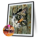 5D Diamond Painting Cat Full Round Drill Rhinestone DIY Animal Home Decorat