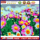DIY Chrysanthemum Canvas Oil Art Picture Home Wall Decor Painting By Number