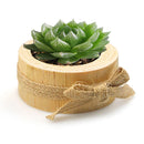 Wooden Potted Ornament Desktop Flowers Bonsai Candle Holder (JM01788) Newly