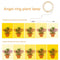 Angel Ring Plant Light Sunlight Phytolamp USB Nursery Lamp (One for One)