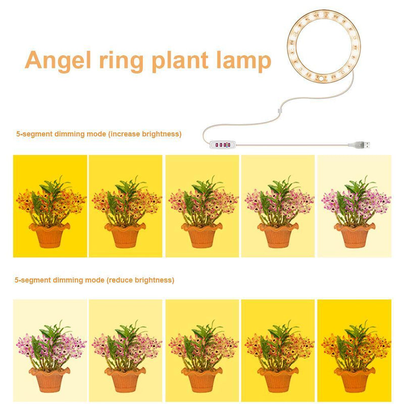 Angel Ring Plant Light Sunlight Phytolamp USB Nursery Lamp (One for One)