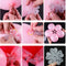 DIY Wedding Supplies Party Decor Balloon Sticks Flower Shape Sealing Clip