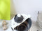 9 in 1 Multifunctional Vegetable Cutter With Drain Large Basket Capacity H E6B4