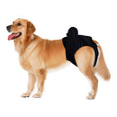 Pets Physiological Pants Female Dog Menstruation Sanitary Shorts (Black XL)