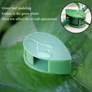 10pcs Plant Fixture Clip Climbing Wall Self-Adhesive Fastener Vine Buckles Newly