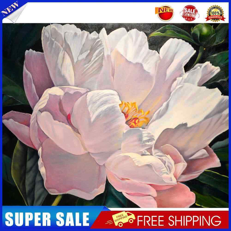 Hand Painted Oil Paint By Numbers Kit DIY Acrylic Peony Flower Canvas Paint