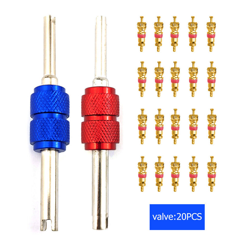 20pcs Tyre Valve Core with 2 Professional Bike Tubes Service Parts Tool for